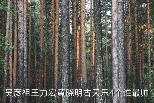 吳彥祖王力宏黃曉明古天樂4個(gè)誰最帥