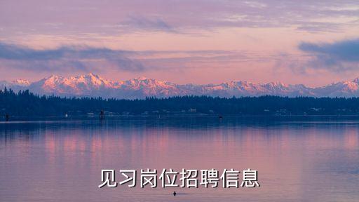 見(jiàn)習(xí)崗位招聘信息