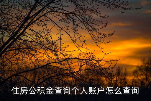 住房公積金查詢個人賬戶怎么查詢