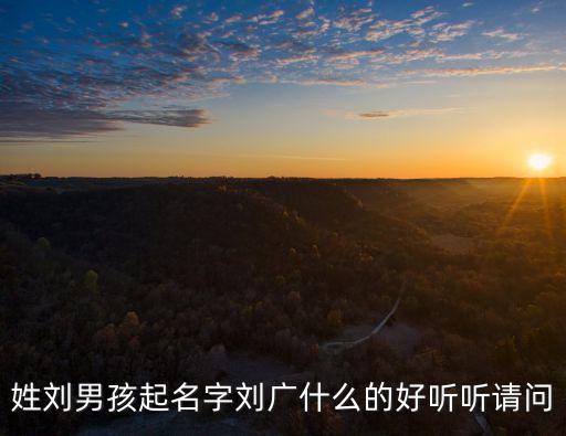 姓劉男孩起名字劉廣什么的好聽聽請(qǐng)問