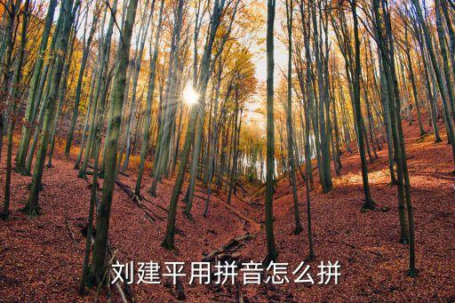 劉建平用拼音怎么拼
