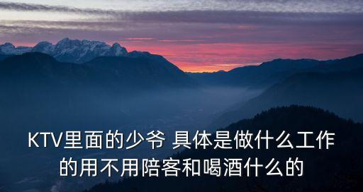 ktv少爺，KTV少爺是做什么的
