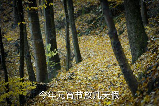 今年元宵節(jié)放假嗎，今年元宵節(jié)放幾天假