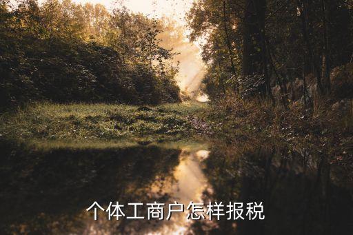 個體工商戶怎樣報稅