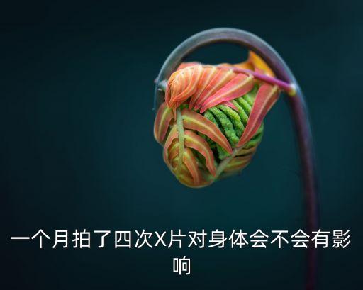 xx片，什么軟件下載XX片速度最快有方便