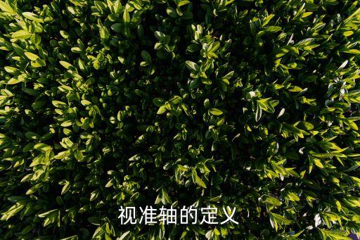 視準軸，視準軸是指與的連線