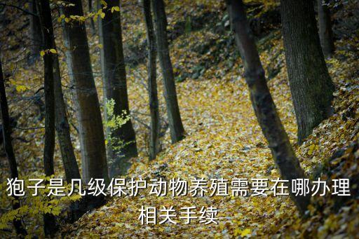 狍子是幾級(jí)保護(hù)動(dòng)物，狍子是不是國(guó)家保護(hù)動(dòng)物