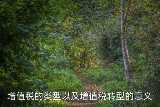 增值稅轉(zhuǎn)型，增值稅轉(zhuǎn)型是指什么