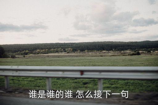 誰是誰，誰是誰的誰 怎么接下一句
