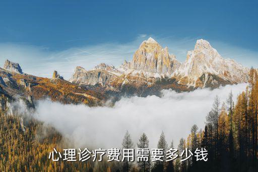 心理成本，一般心理治療要多少錢