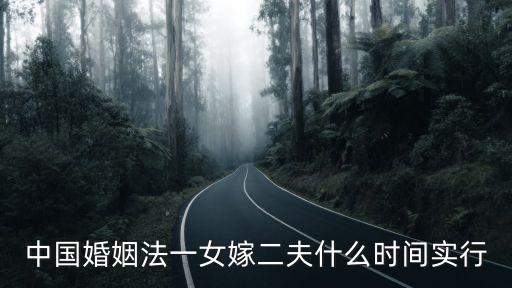 中國婚姻法一女嫁二夫什么時(shí)間實(shí)行