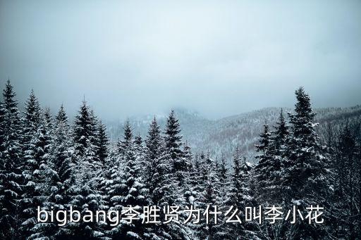 bigbang李勝賢為什么叫李小花