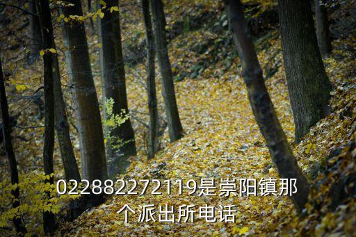 崇陽熱線，湖北崇陽縣的電信服務(wù)號碼是多少