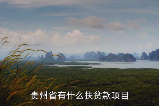 扶貧項目，貴州省有什么扶貧款項目