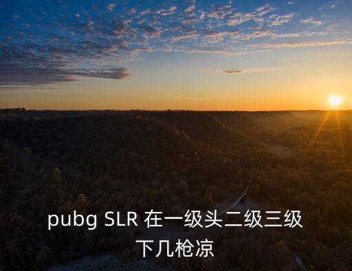 pubg SLR 在一級頭二級三級下幾槍涼