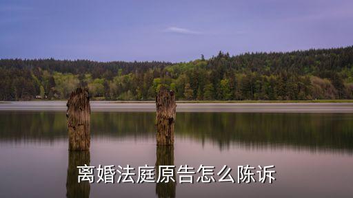 離婚法庭原告怎么陳訴