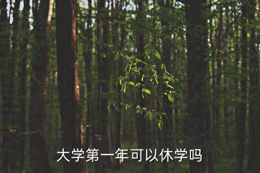 大學第一年可以休學嗎