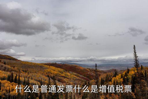 增值稅票，什么是普通發(fā)票什么是增值稅票