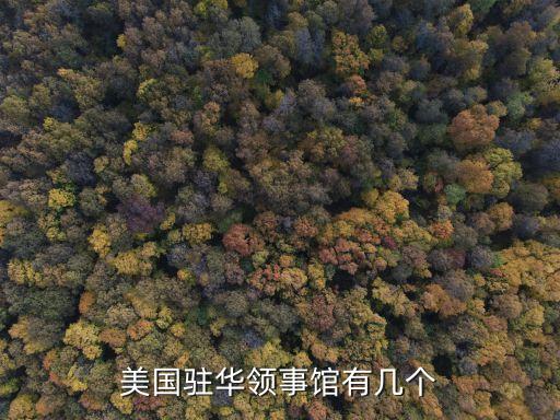 美國(guó)駐華領(lǐng)事館有幾個(gè)