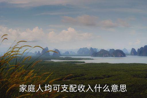 家庭人均可支配收入什么意思