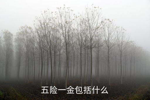 五險一金包括什么