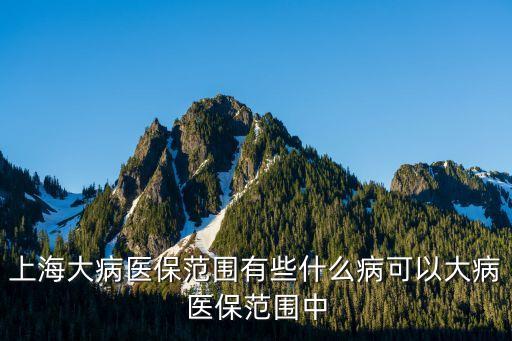 上海大病醫(yī)保范圍有些什么病可以大病醫(yī)保范圍中