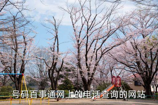 電話查詢系統(tǒng)，號(hào)碼百事通網(wǎng)上的電話查詢的網(wǎng)站