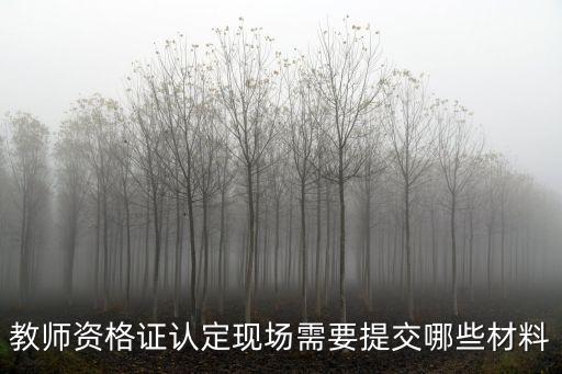 教師資格證認(rèn)定需要什么材料，申請認(rèn)定教師資格需要什么材料