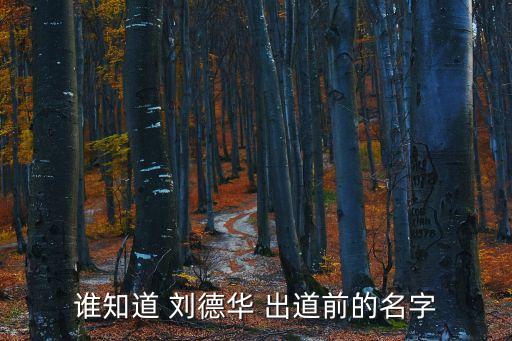 劉天才，誰知道 劉德華 出道前的名字