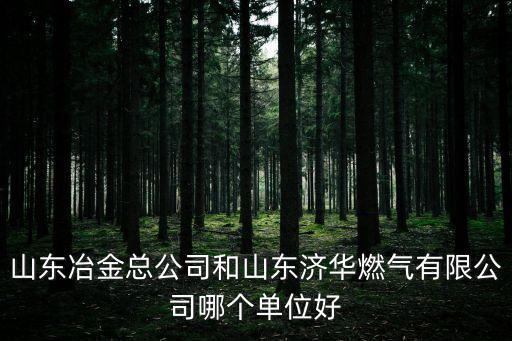 山東冶金總公司和山東濟(jì)華燃?xì)庥邢薰灸膫€(gè)單位好