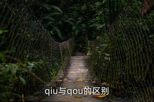 qiu與qou的區(qū)別