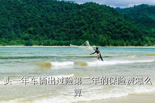 頭一年車輛出過險(xiǎn)第二年的保險(xiǎn)費(fèi)怎么算