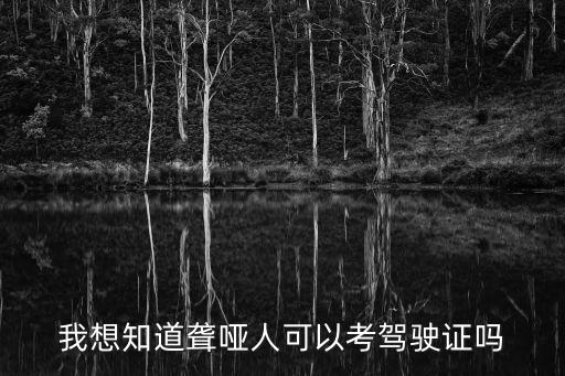 我想知道聾啞人可以考駕駛證嗎