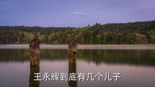 王永輝到底有幾個(gè)兒子