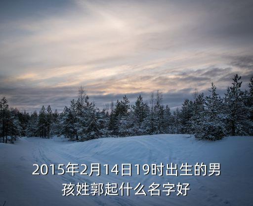 2015年2月14日19時出生的男孩姓郭起什么名字好