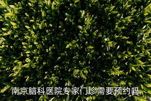 南京腦科醫(yī)院專家門診需要預(yù)約嗎