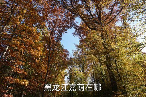 黑龍江嘉蔭在哪