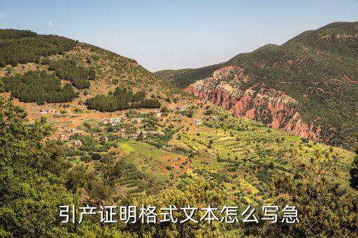 引產(chǎn)證明格式文本怎么寫急
