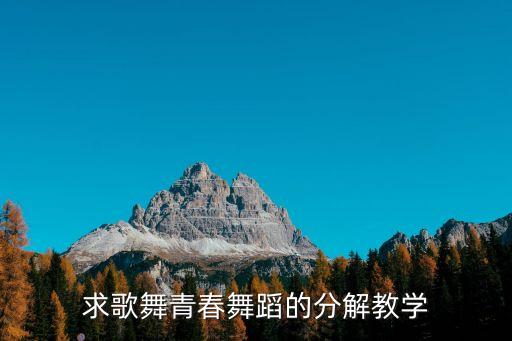 青春舞曲教案，歌舞青春 舞蹈教學(xué)
