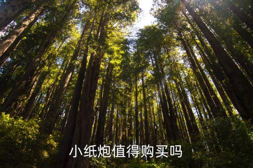 紙炮槍?zhuān)r(shí)候玩的一張紅色的紙上面有好多顆粒狀的炸藥叫什么