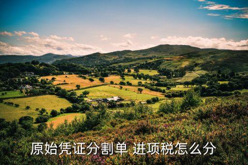 原始憑證分割單 進(jìn)項(xiàng)稅怎么分