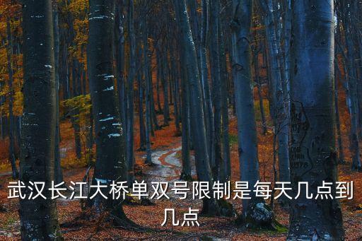 武漢長(zhǎng)江大橋單雙號(hào)限制是每天幾點(diǎn)到幾點(diǎn)