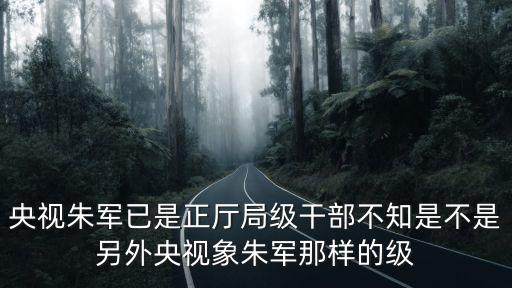 央視朱軍已是正廳局級(jí)干部不知是不是另外央視象朱軍那樣的級(jí)