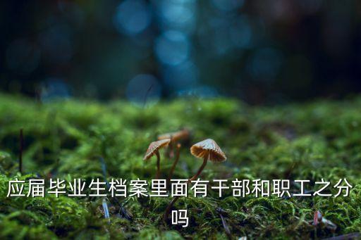 應(yīng)屆畢業(yè)生檔案里面有干部和職工之分嗎