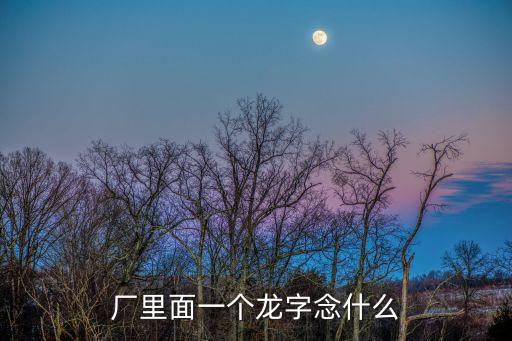 廠里面一個(gè)龍字念什么