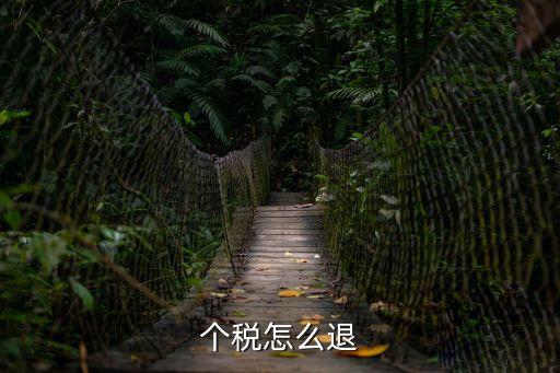 個人所得稅退稅，個人所得稅怎么退稅