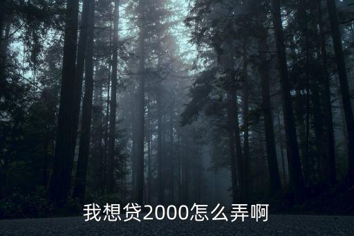 我想貸2000怎么弄啊