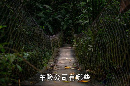 汽車保險(xiǎn)公司，車險(xiǎn)公司都有哪些
