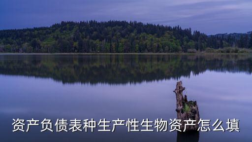 資產(chǎn)負(fù)債表種生產(chǎn)性生物資產(chǎn)怎么填