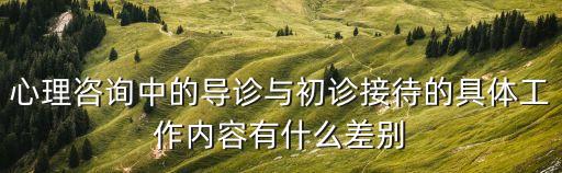 心理咨詢中的導(dǎo)診與初診接待的具體工作內(nèi)容有什么差別